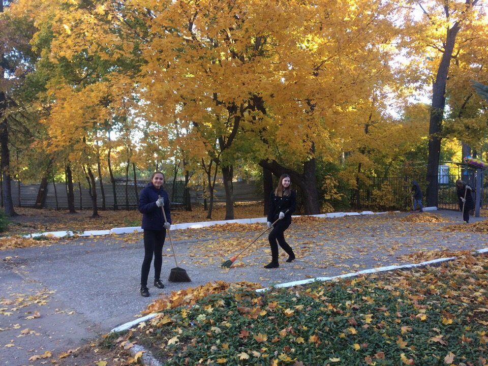 Санитарная пятница